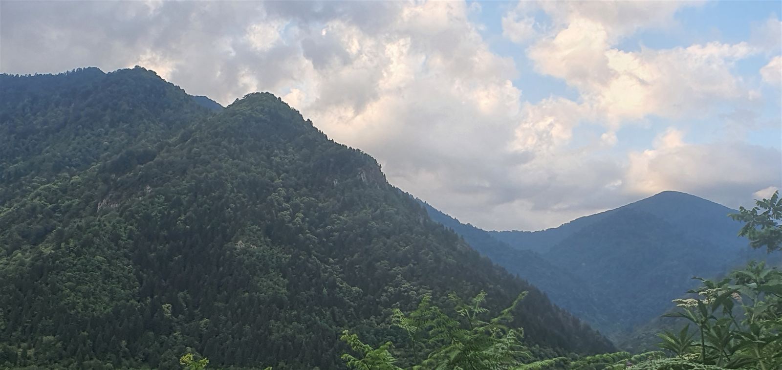 Green mountain in cloud