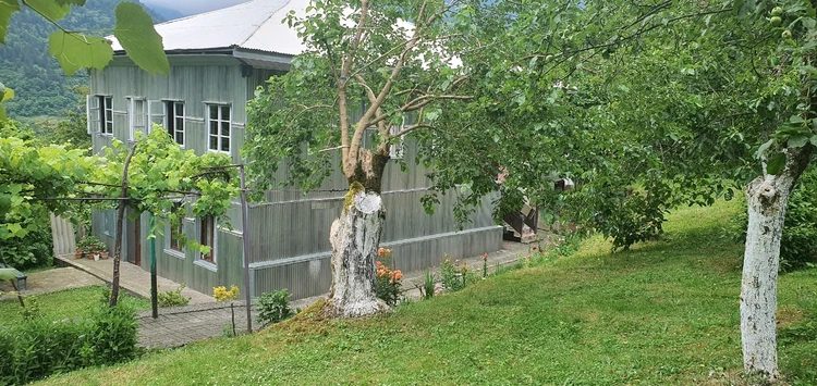 The wooden guest house